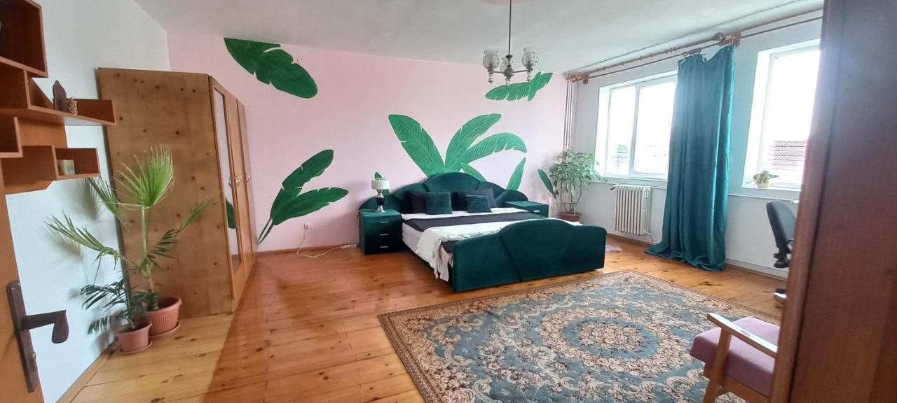 Casa Zora Apartamento Alba Iulia Exterior foto